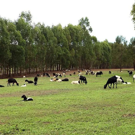 Estancia Jacy-3